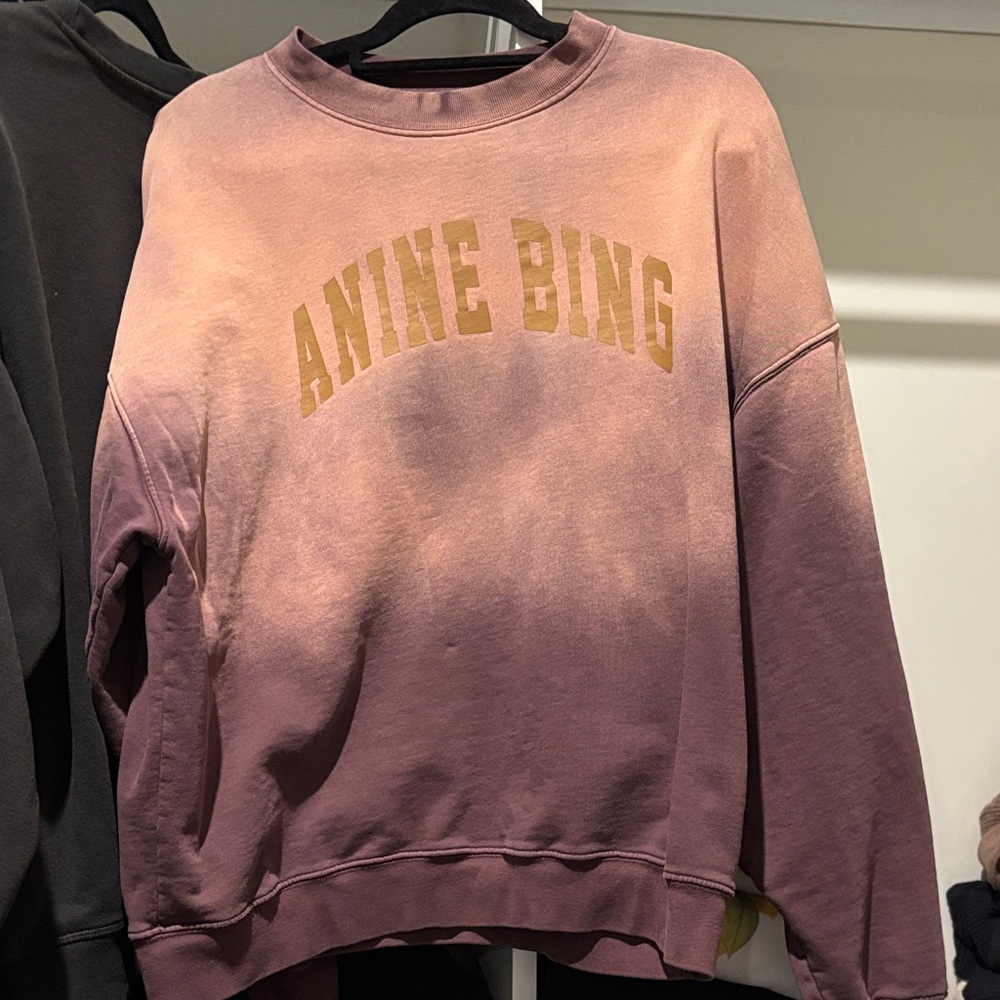 Anine Bing Blush and Gold Crew Neck Sweater